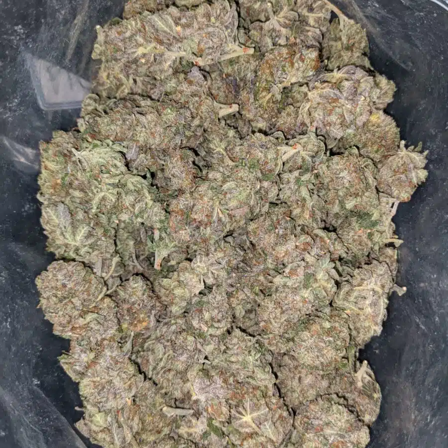 tonys purple bubba 1 I Tony's Purple Bubba