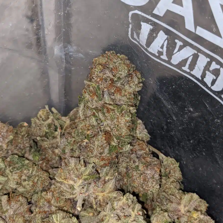 tonys purple bubba 3 I Tony's Purple Bubba