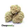 Select Pounds Sativa