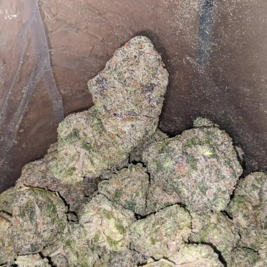 Watermelon 1 I $ 65 Oz - Watermelon