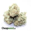 Sweet Nuken Candy