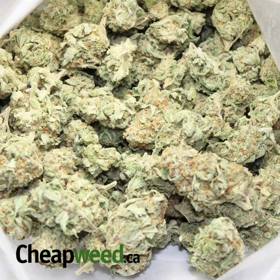 Alternative view of Sweet Nuken Candy