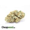 Royal King Kush