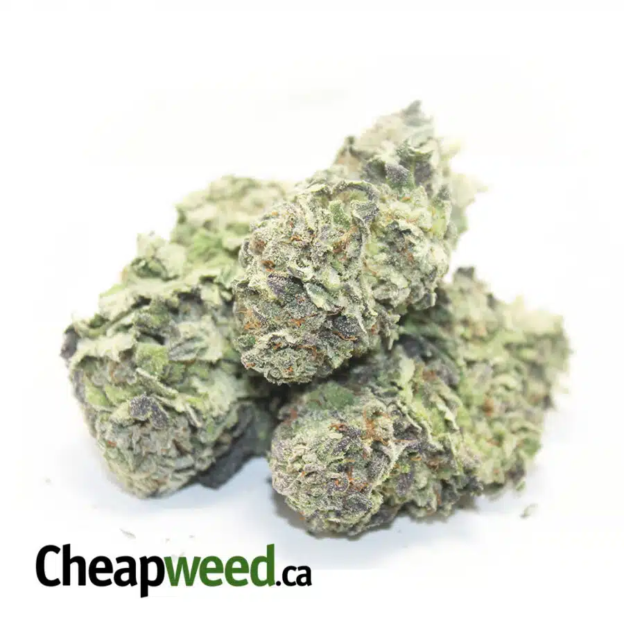 Alternative view of Berry Hybrid