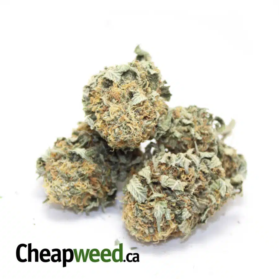 bronze bubba 2 I $113 OZ - Bronze Bubba
