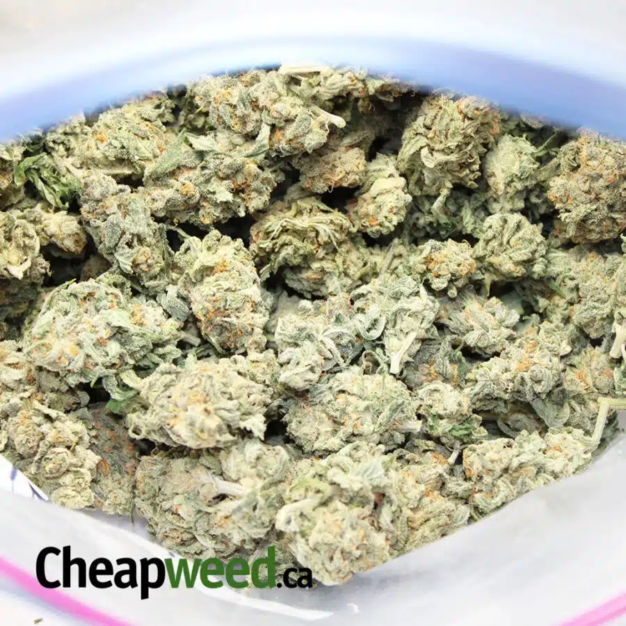 budget hybrid 1 3 I $119 Oz - Budget Hybrid 1.0