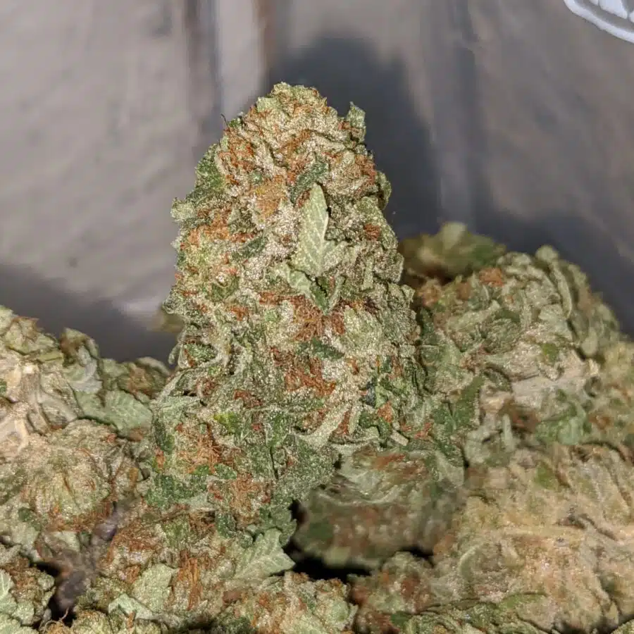 classic og kush 1 I Classic OG Kush