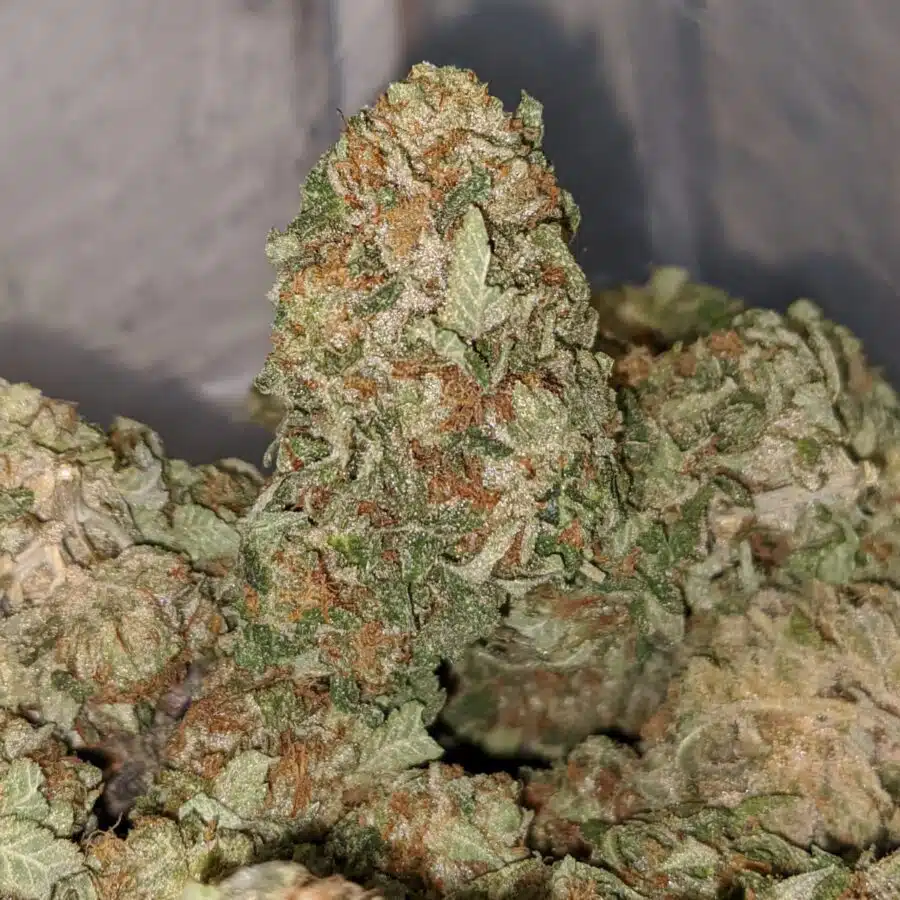 classic og kush 2 I Classic OG Kush