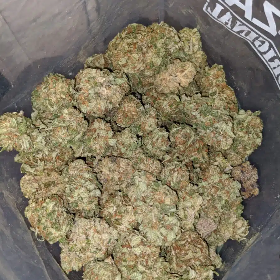 classic og kush 3 I Classic OG Kush