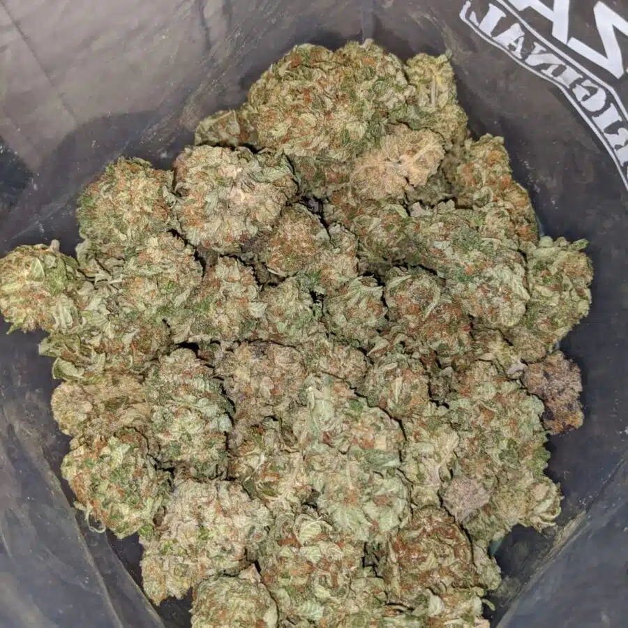 classic og kush 4 I Classic OG Kush