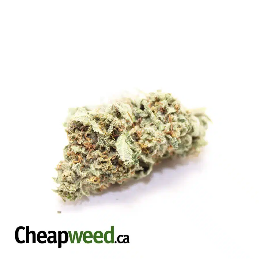 Alternative view of Green Kosher Kush