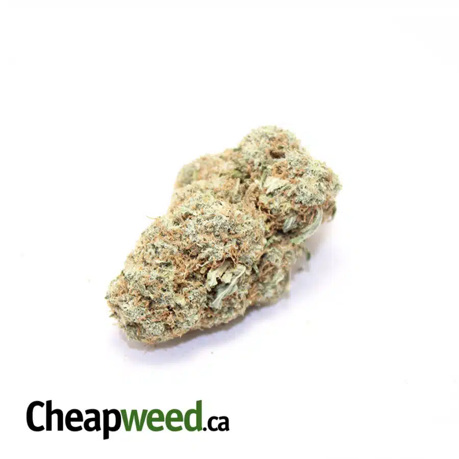Green Pine