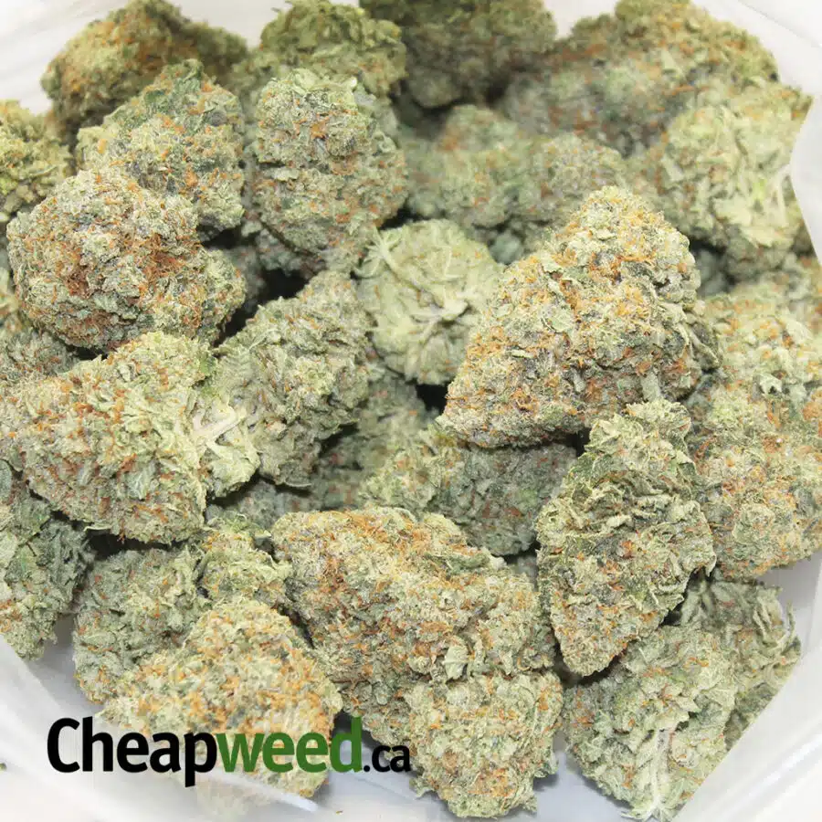 Alternative view of Lemon Dream