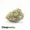 Lemon Dream