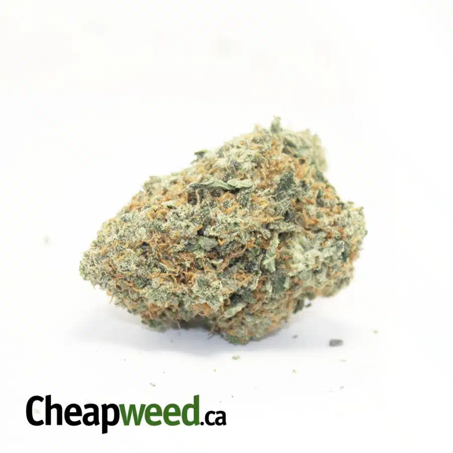 Lemon Dream