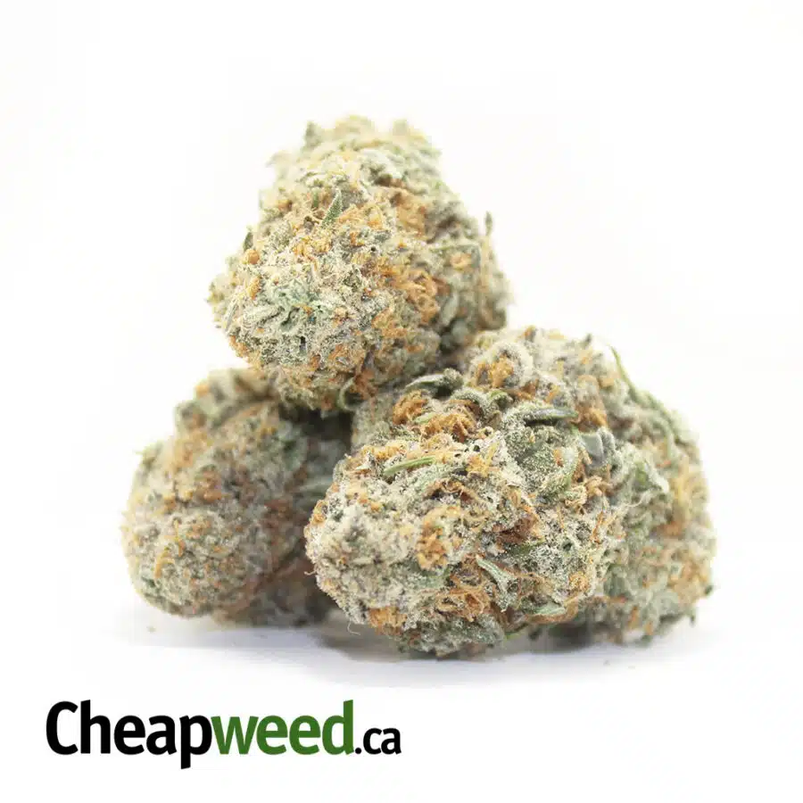 Orange Infused Nuken