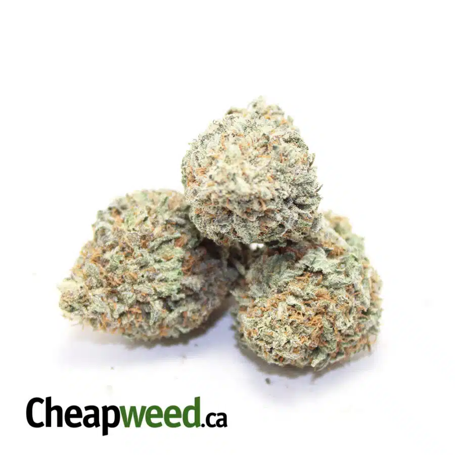Alternative view of $89 Oz - White Durban