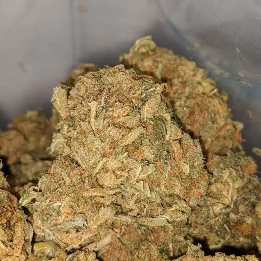 AA sour wtf 1 I AA+ Sour WTF