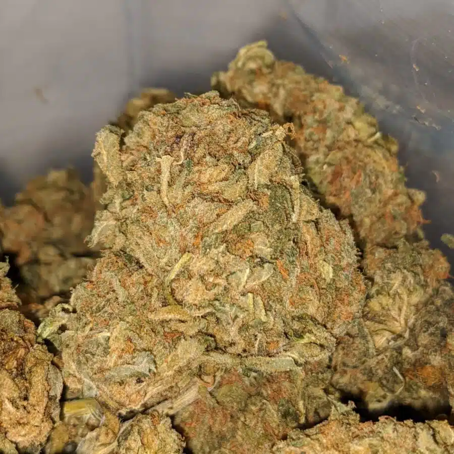 AA sour wtf 2 I AA+ Sour WTF