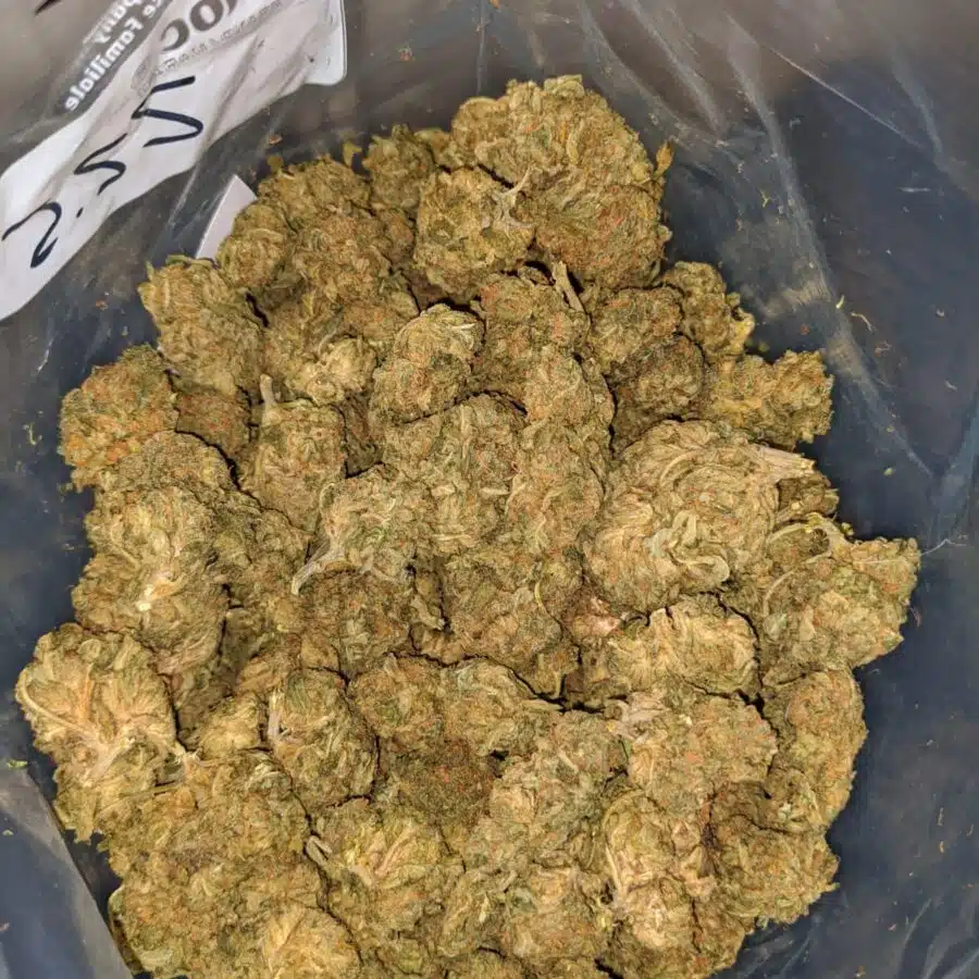 AA sour wtf 3 I AA+ Sour WTF