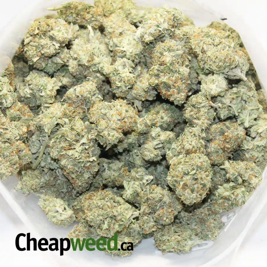 HERBAL KUSH 2 I Herbal Kush