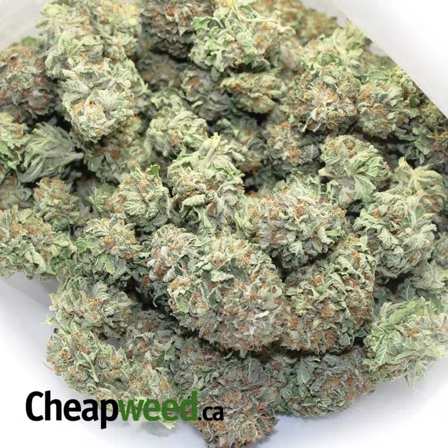 OG KUSH 5 I $115 Oz - OG Kush