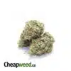 Budget Sativa