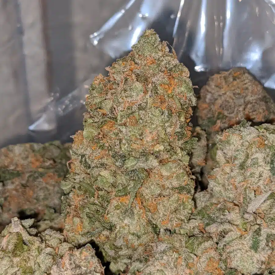fruit medly dod 1 I Fruit Medley - *Deal Of The Day*