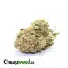 Orange Alaskan Thunderfuck