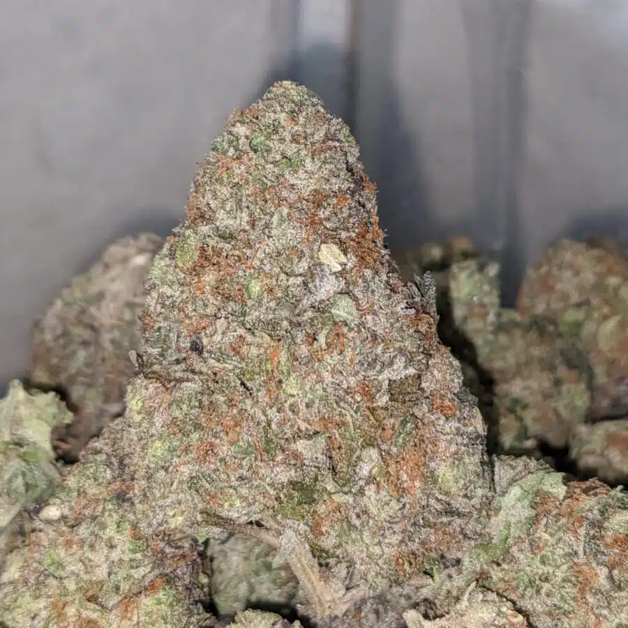 Alternative view of Purple Cosmic Cookies