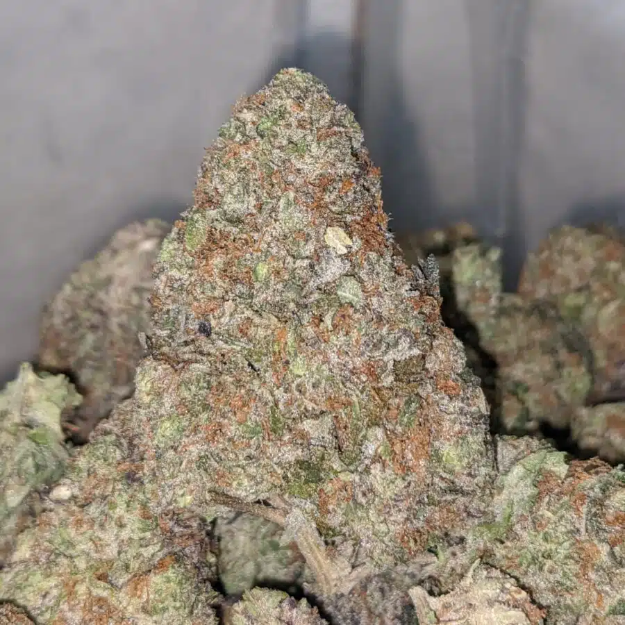purple cosmic cookies 2 I Purple Cosmic Cookies