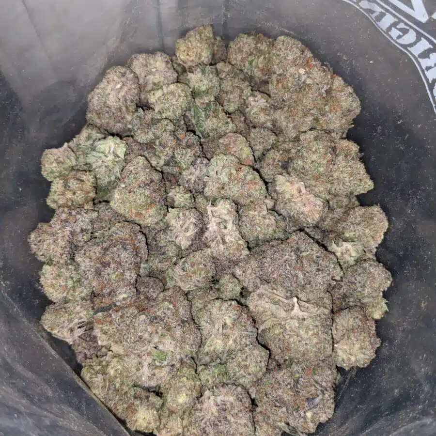 purple cosmic cookies 4 I Purple Cosmic Cookies