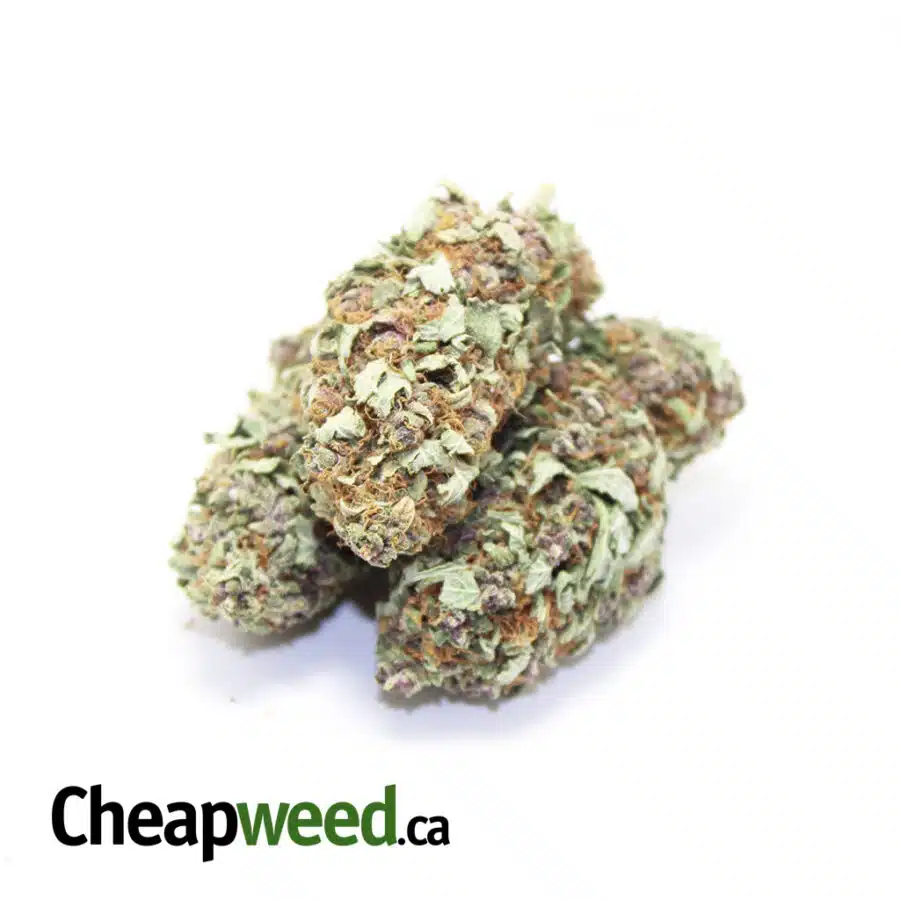 purple fruit loops 2 I $99 -Purple Fruit Loops