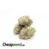 Sativa Bomb