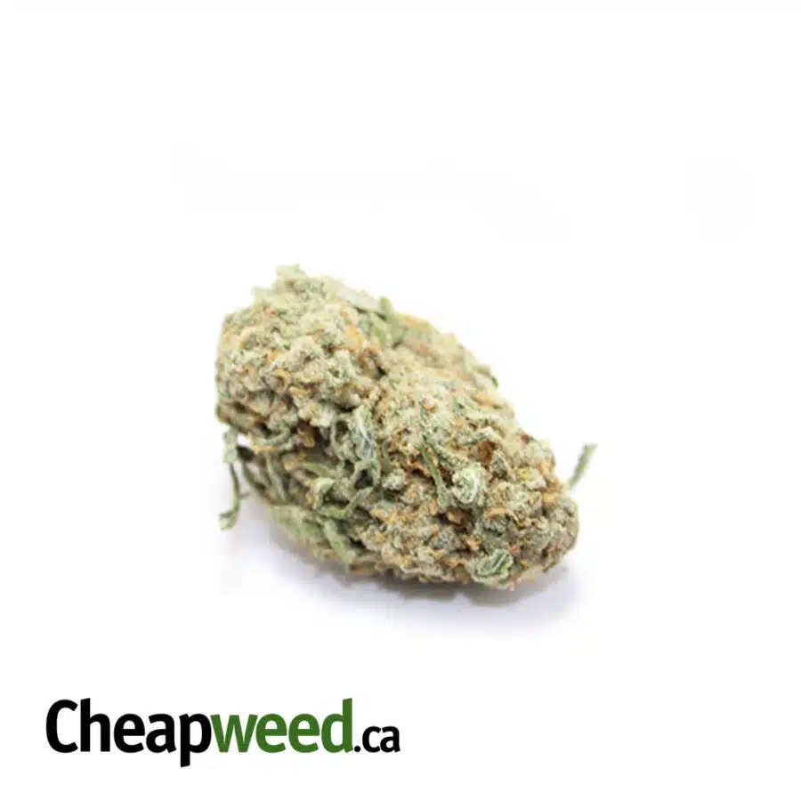 Alternative view of Sativa Bomb