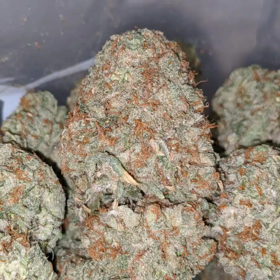 sweet cookies 2 I Sweet Cookies