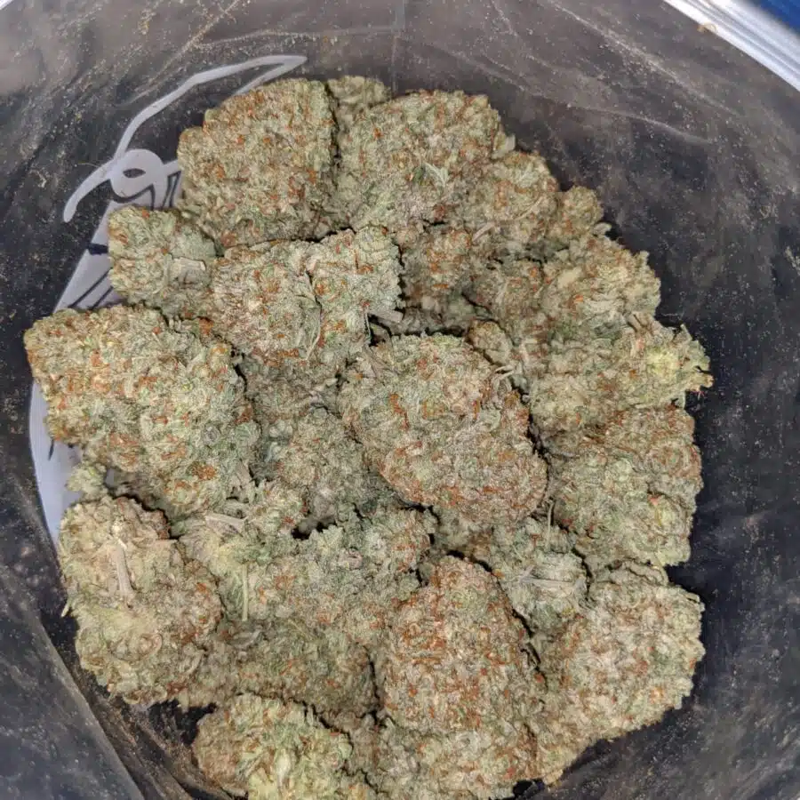 sweet cookies 4 I Sweet Cookies