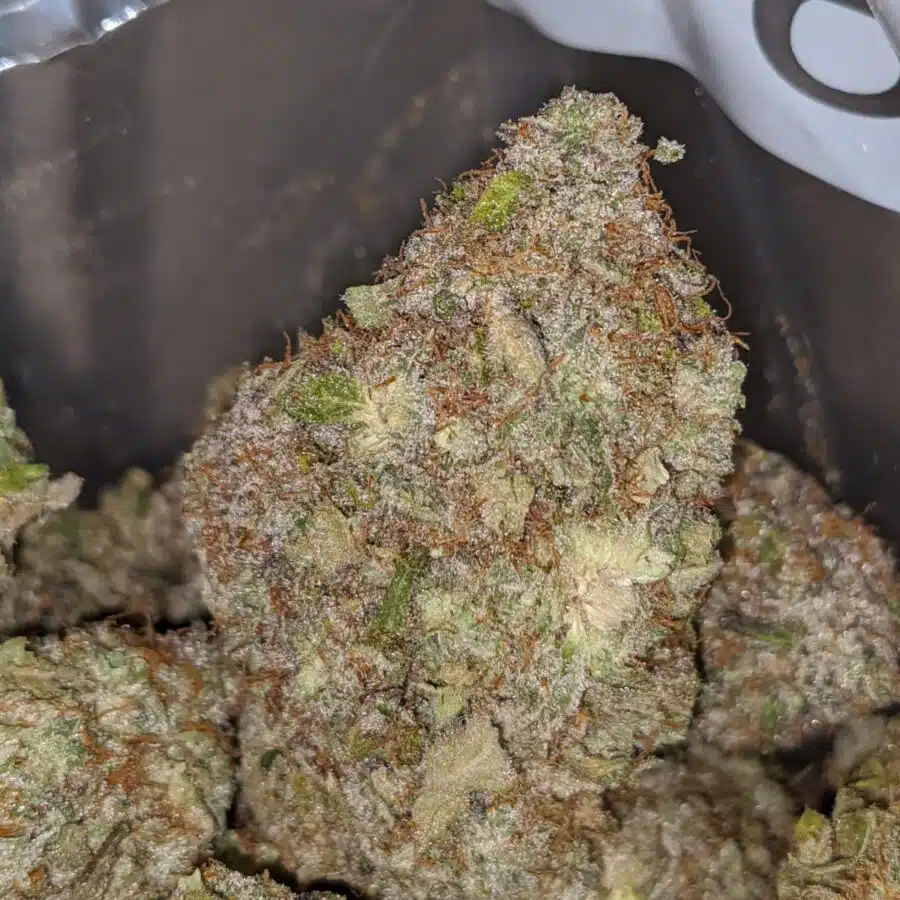 white moonrock 1 I White Moonrocks