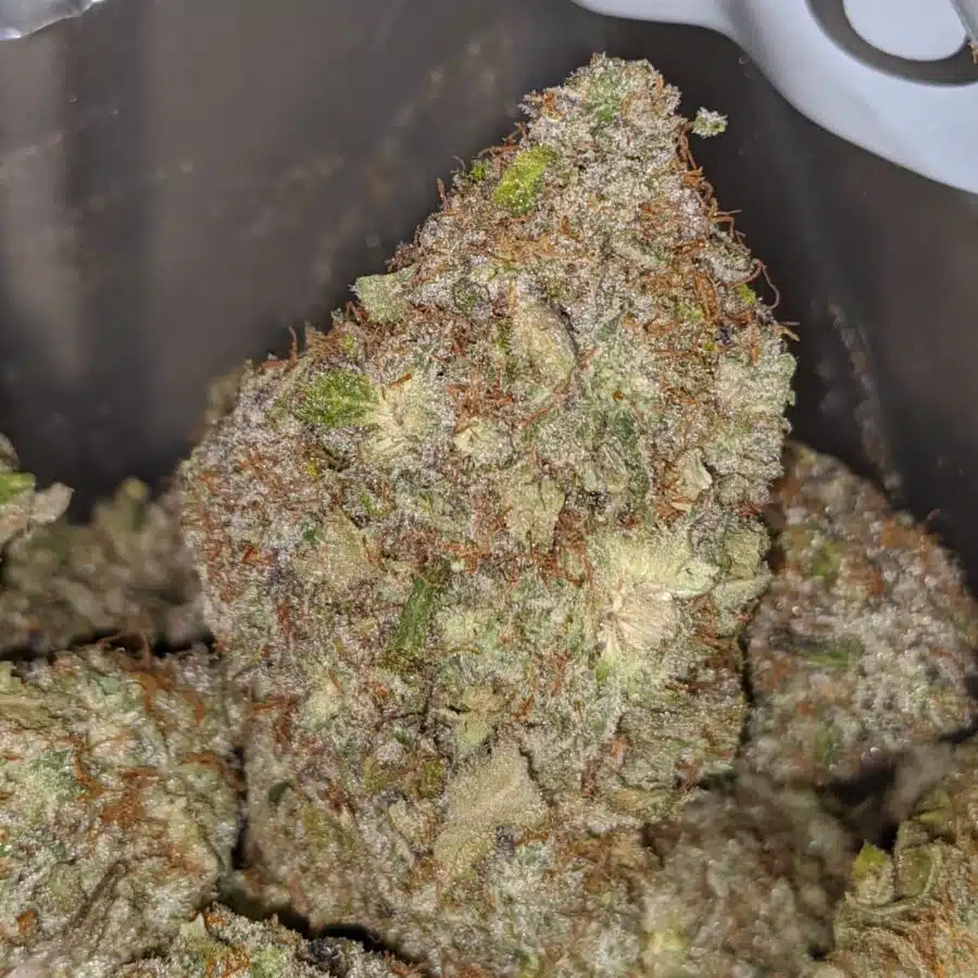 white moonrock 2 I White Moonrocks