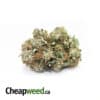 $99 Oz - CHEAP G-13