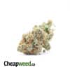 $99 Oz - Cheap Yoda