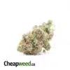 $99 Oz - Cheap Yoda