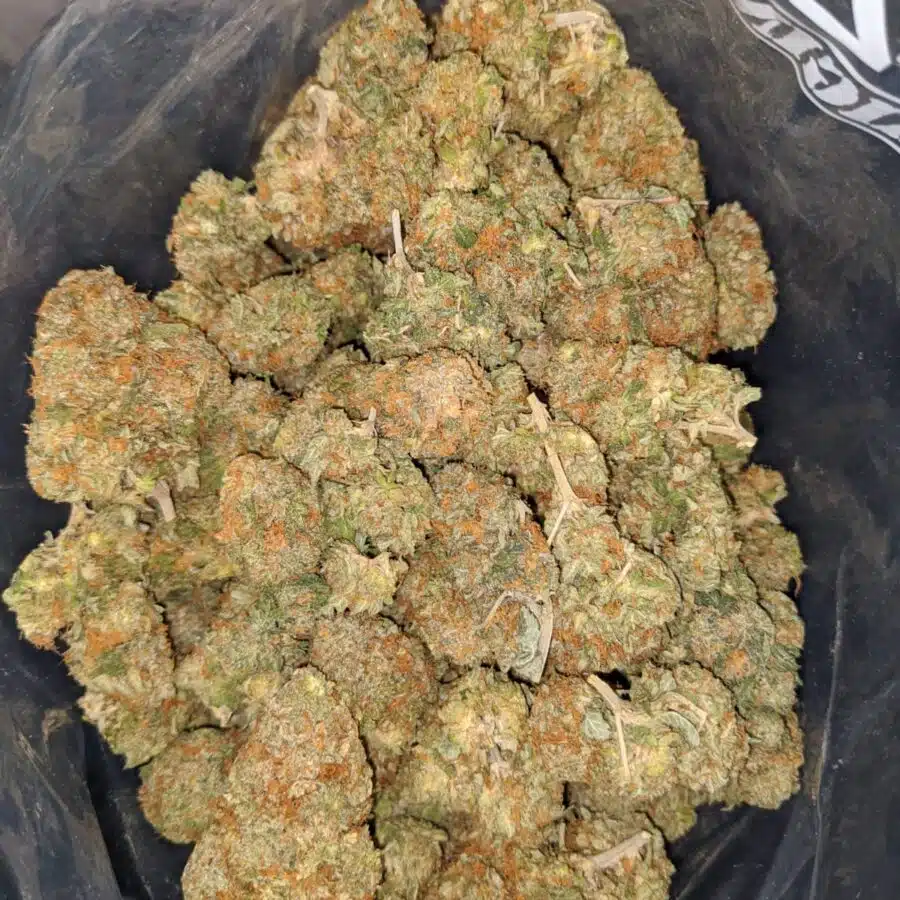 Goji OG