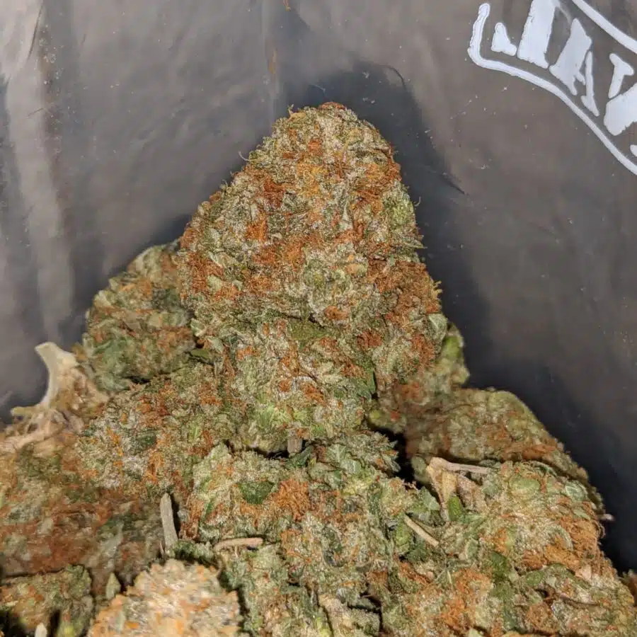 GOJI OG 3 I Goji OG