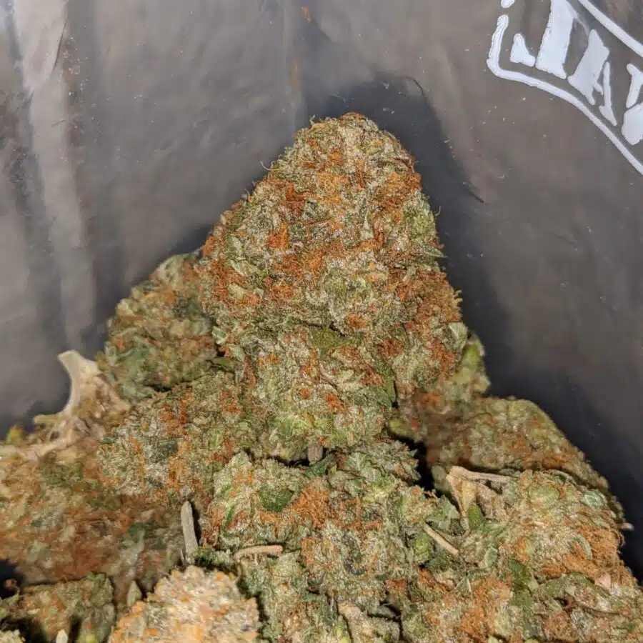 GOJI OG 4 I Goji OG