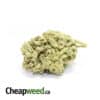 Cheap Green Zombie