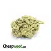 $99 Oz - Green Zombie