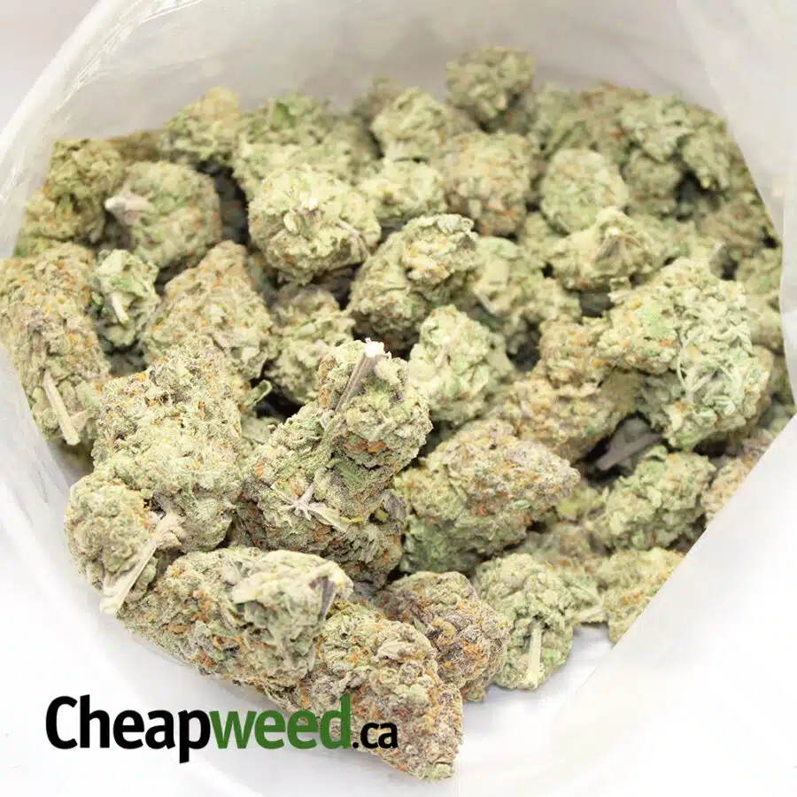 ORGANIC NUKEN 5 I Organic Nuken