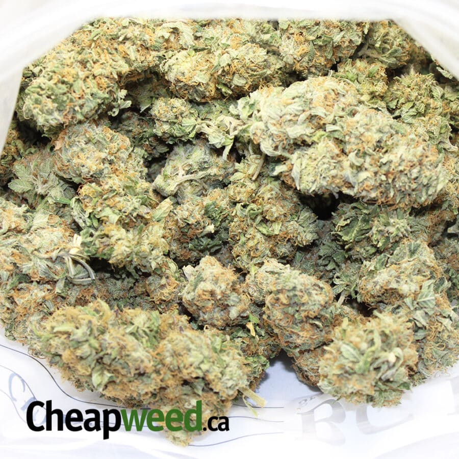 Select Bubba - Image 3