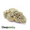 Select Bubba